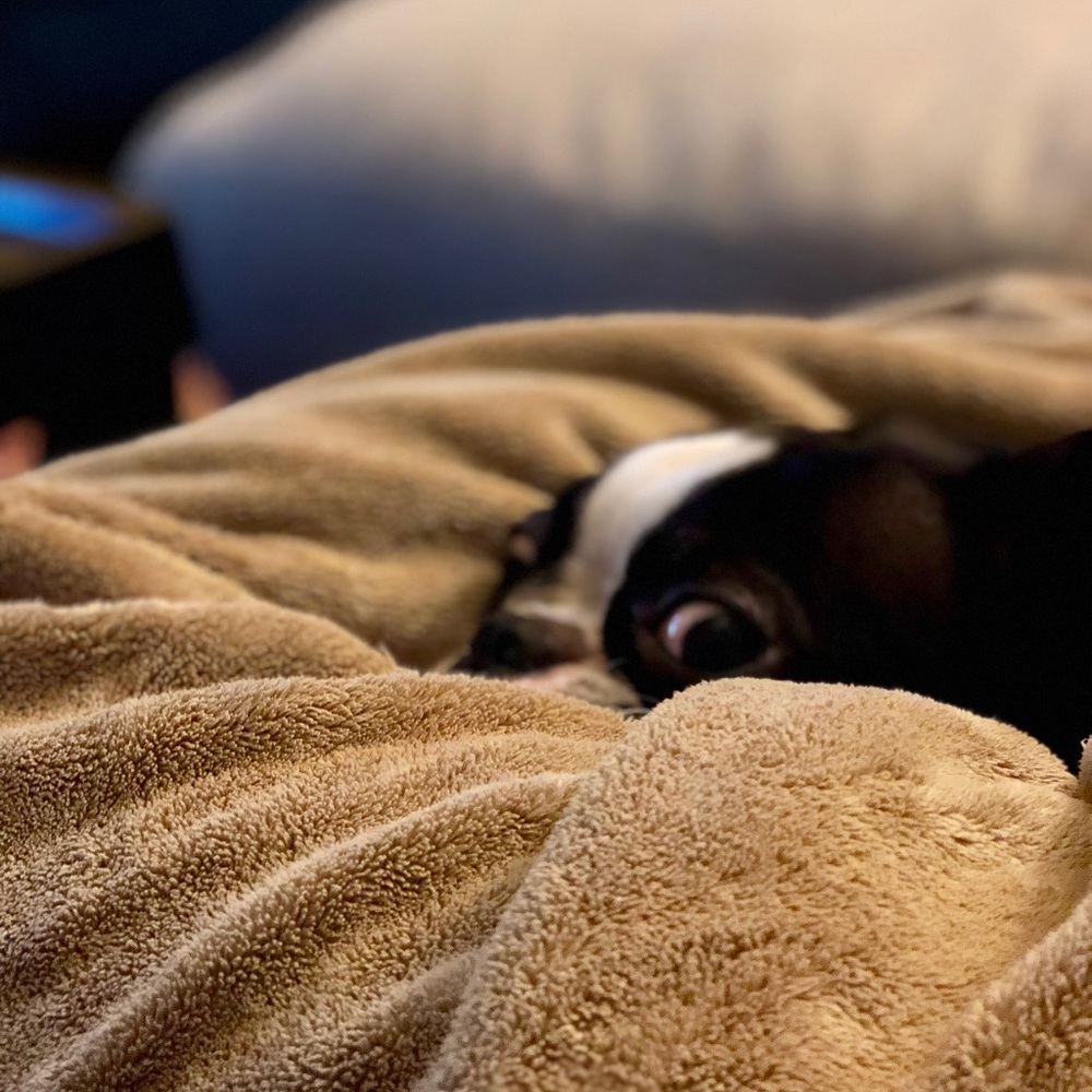 Meet your Posher, Monica